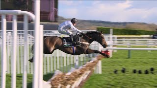 CONSTITUTION HILL is pure perfection as he runs away with the 2023 Champion Hurdle [upl. by Lacagnia]