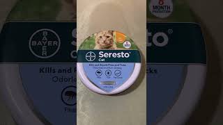 Seresto cat collar product review  is it worth it [upl. by Guidotti]