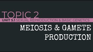 AP Biology Meiosis and Gamete Formation [upl. by Valenba]