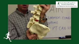 Causes of SI Joint Dysfunction  Physical Therapy Sterling VA [upl. by Janessa]