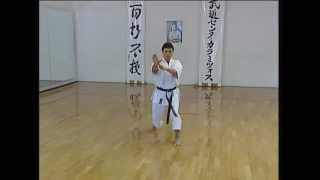 Bassai Dai  Efthimios Karamitsos  Karate  Kata  Shotokan [upl. by Verdha]