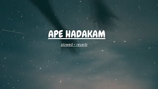 Ape Hadakam  අපෙ හාදකම්  slowed  reverb [upl. by Erkan]