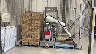 THE PALLETIZER COBOT  LE COBOT PALETTISEUR [upl. by Trueblood]