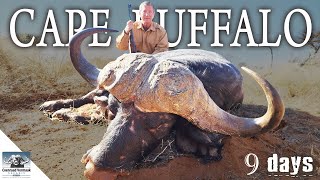 Hard earned Cape BUFFALO [upl. by Ylirama]