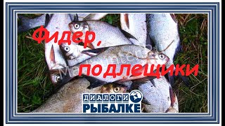 Диалоги о рыбалке  049  Фидер подлещики [upl. by Arreik]