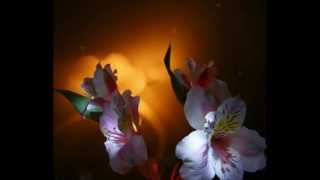 quot LAKMEquot THE FLOWER DUET  LEO DELIBES [upl. by Phyllys]