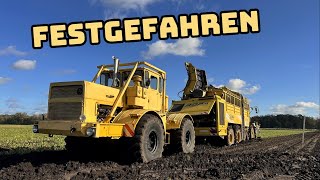 Rübenroder versenkt  K700a Retter in der Not  Farmvlog 154 [upl. by Pyotr]