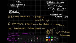 EMPHYSEMA  RESPIRATORY SYSTEM  PATHOLOGY [upl. by Dnar]