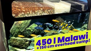 Setting up an 450 litre African Cichlid Aquarium with 150 cm overhead sump  Full set up video [upl. by Ataymik828]