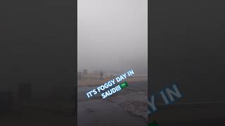 Its a FOGGY Day in SAUDI 🇸🇦foggymorning keepsafe asmr trending viralvideo [upl. by Ystap620]