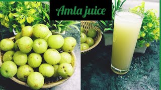 Amla Juice Recipe  How To Make Amla Juice At Home  Indian Gooseberry Juice 🧃🥤 [upl. by Dnarb]