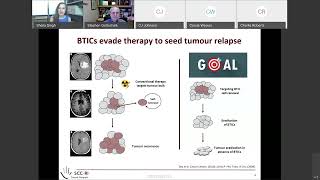 031 Therapeutic Targeting of Self Renewal of Medulloblastoma Stem Cells Strategies [upl. by Atteragram]