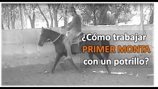 Arrendando Caballos V8 ¿Cómo trabajar la PRIMERA MONTA con un potrillo [upl. by Peonir]