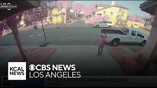 Simi Valley man speaks out after seeing his neighbor and his dog attacked by pit bull [upl. by Netsriik670]