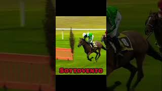 GoodLuck sottovento PharLap apology horseedit Part2 [upl. by Anivek]