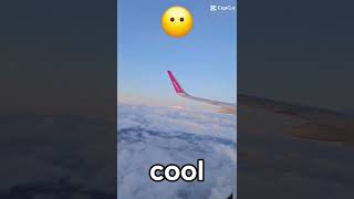 Wizz air in different moods🤣 [upl. by Afihtan]