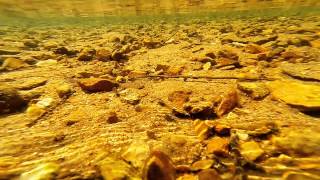 WadeFishing the Upper Meramec River for Smallmouth  St James MO [upl. by Medlin]