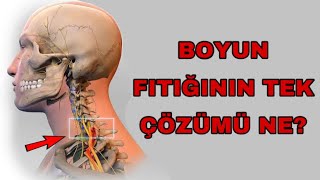 Fizyoterapistten Boyun fıtığı egzersizleri [upl. by Bekki]