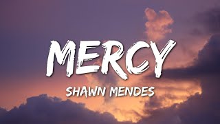 Shawn Mendes  Mercy Lyrics [upl. by Baun]