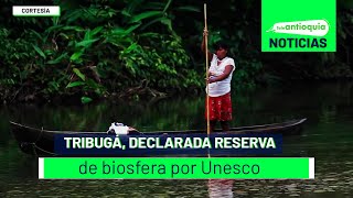 Tribugá declarada reserva de biosfera por Unesco  Teleantioquia Noticias [upl. by Ramonda593]