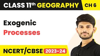 Exogenic Processes  Geomorphic Processes  Class 11 Geography [upl. by Gerstner]