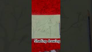 Shading drawing easy youtubeshorts artistkeart art sketch artsketch artist birds [upl. by Wehrle]