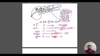 Endocrinology Diabetes L2 part 1 BY DR ANTONIUS [upl. by Ardnuhsed]