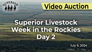 Superior Livestock Auction  Week in the Rockies Day 2 [upl. by Annayr]