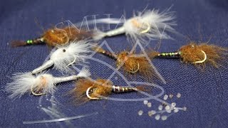 Olive MYSIS shrimp seatrout [upl. by Nidorf]