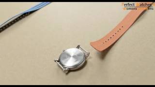 Timex Weekender Strap  Timex Womens T2P370 Watch Review [upl. by Kristy68]