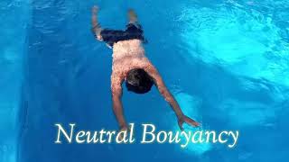 positive neutral and negative buoyancy [upl. by Eluj]