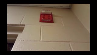 Fire Alarm Test  26 [upl. by Enahs]