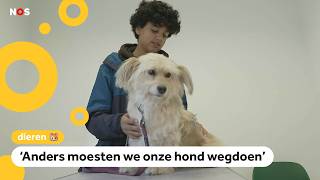 Dierenartsen worden steeds duurder [upl. by Aileve]