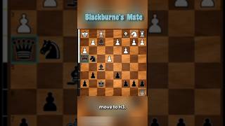 Master The Blackburnes Mate in Chess🤯chesscom chess proplayer chessgame grandmaster [upl. by Etnoed]