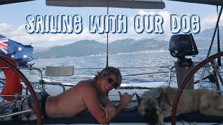 CRUISING LIFE with our German Shepherd dog  Life on a sailboat  Sailing Sunday Ep 20 [upl. by Lenrow886]