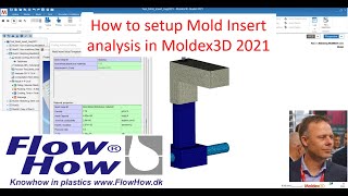 How to use Mold Inserts in Moldex3D simulations [upl. by Rivkah]