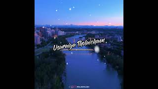 Usuraiya Tholaichaen Bgm Whatsapp Status [upl. by Rivy]