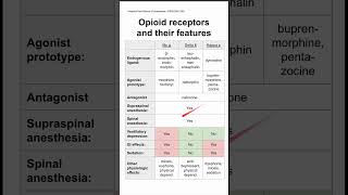 Opioid receptors and their features [upl. by Nnaeinahpets]