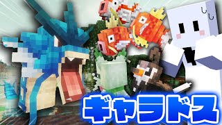 ギャラドス怖すぎるだろ  ポケモンだらけの世界で伝説のポケモンを捕まえる 2【マインクラフト  Cobblemon】 [upl. by Eadwina302]