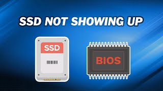 How to Fix SSD Not Showing up in BIOS ｜7 Ways [upl. by Hubie519]