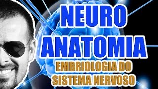 Embriologia do Sistema Nervoso Central e Periférico  Neuroanatomia  VideoAula 069 [upl. by Annaeoj]