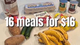 16 Meals For 16  Simple Ingredient Budget Friendly Vegetarian Meals  Eat Healthy For Cheap [upl. by Vareck]