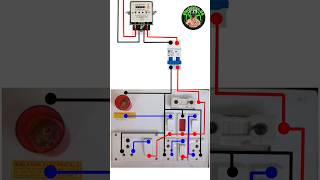 MCB Board wiring shortsshortsfeedelectricalwiringwiringtechniques songelectricalinstallation [upl. by Lawton439]