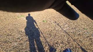 Metal Detecting A 1700s Farm House South Eastern Virginia [upl. by Lateehs100]