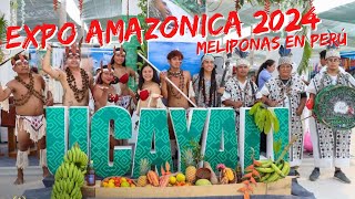 Meliponas en Perú EXPOAMAZONICA 2024 [upl. by Brocky580]