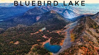 BLUEBIRD LAKE  KOOTENAI NATIONAL FOREST MONTANA [upl. by Koehler]