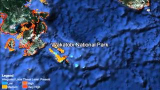 Google Earth Tour of Reefs at Risk Full Length [upl. by Arerrac161]