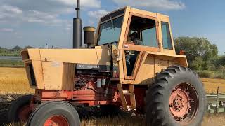 1970 Case Agri King Plowing Hitterdal MN 2023 [upl. by Ferreby]