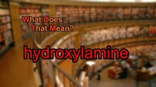 What does hydroxylamine mean [upl. by Lewej]