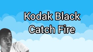 Kodak Black  Catch Fire Lyrics Twist [upl. by Treblig]